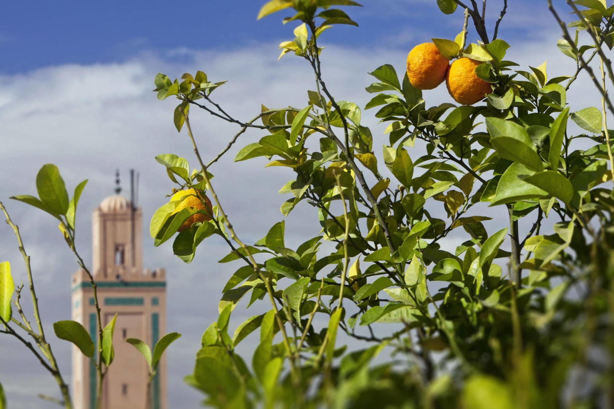 Le Farnatchi Hotell Marrakesh Eksteriør bilde